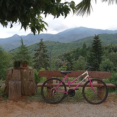 Apartamento En Pleno Montseny Mas Romeu Turisme Rural Arbúcies Exterior foto
