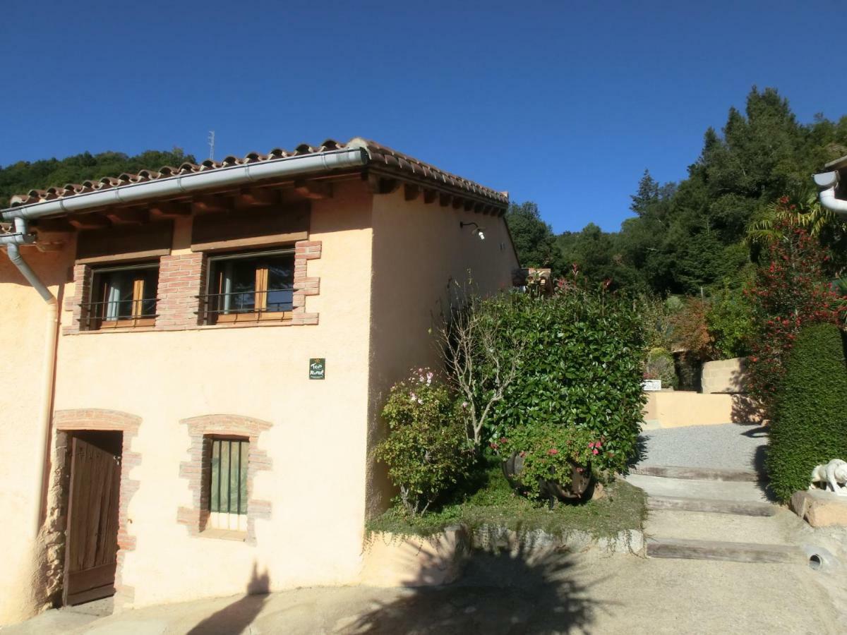Apartamento En Pleno Montseny Mas Romeu Turisme Rural Arbúcies Exterior foto