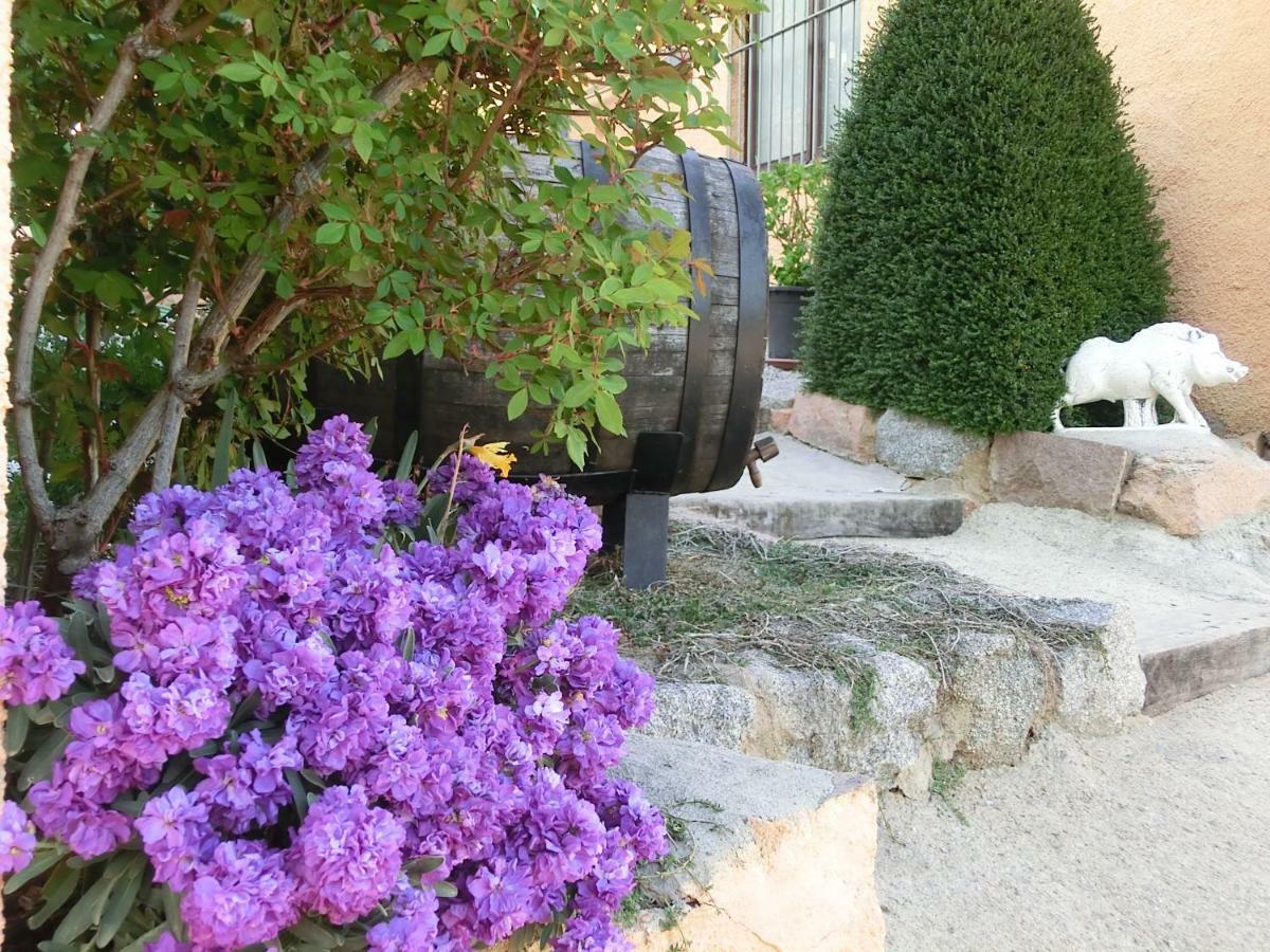 Apartamento En Pleno Montseny Mas Romeu Turisme Rural Arbúcies Exterior foto
